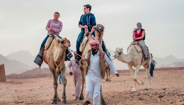 Desert Quad Tour + Bedouin Dinner - Photo 2