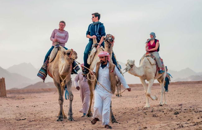 Balade en quad dans le désert et dîner bédouin - Photo 2