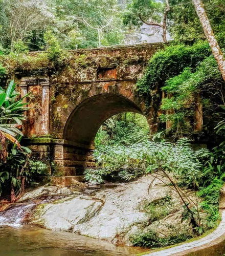 Foto de Senderismo por el Parque Nacional de Tijuca