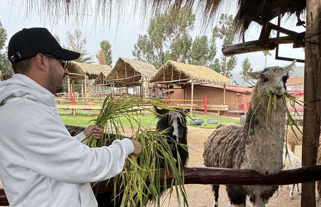 Cusco City & Inca Ruins Tour - Photo 1