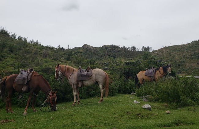 Paseo a caballo por el Templo de la Luna y Montaña de Chacan - Foto 4