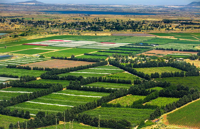 Nazareth, Tiberias, and Sea of Galilee Day Tour - Foto 2