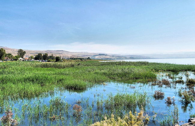 Nazareth, Tiberias, and Sea of Galilee Day Tour - Foto 6
