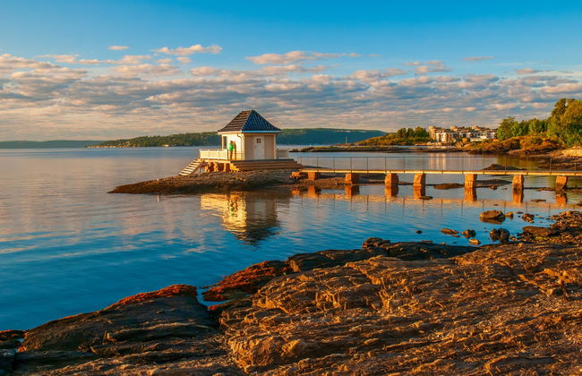 Oslo Private Tour - Foto 4