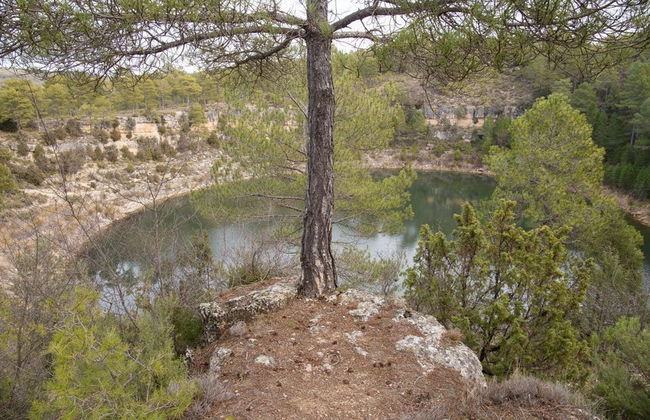 Ruta de los dinosaurios por Cuenca - Foto 2