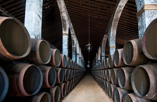 Jerez and Cadiz Day Trip - Photo 3