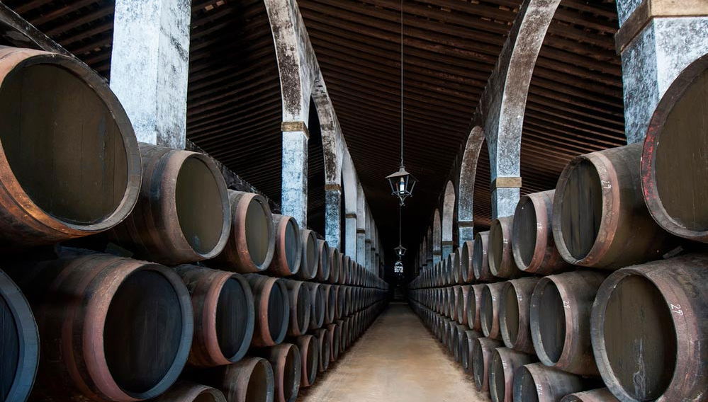 Jerez and Cadiz Day Trip - Foto 1