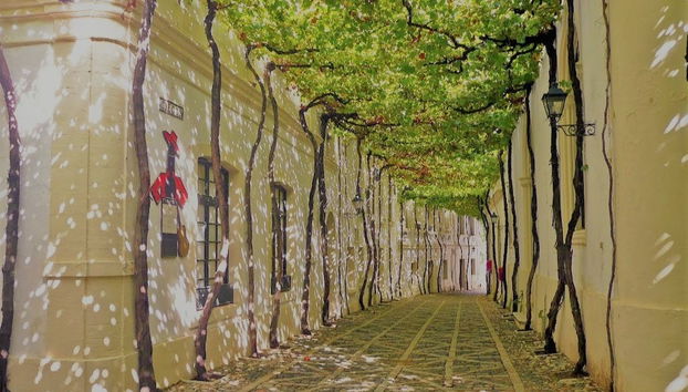 Jerez and Cadiz Day Trip - Foto 5