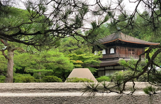 Visita guiada por Kioto - Foto 4