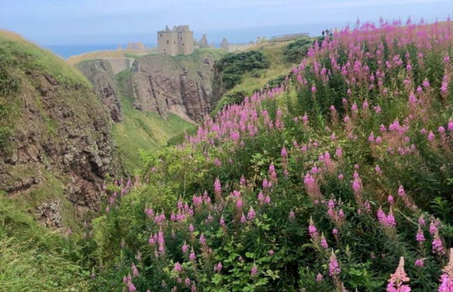 Excursión a los castillos de Glamis y Dunnottar - Foto 4