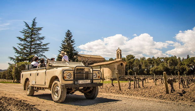 Tour en 4x4 por los viñedos del Penedés - Foto 4