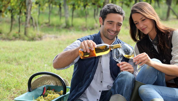 Tour en 4x4 par les vignobles de Penedés - Photo 3