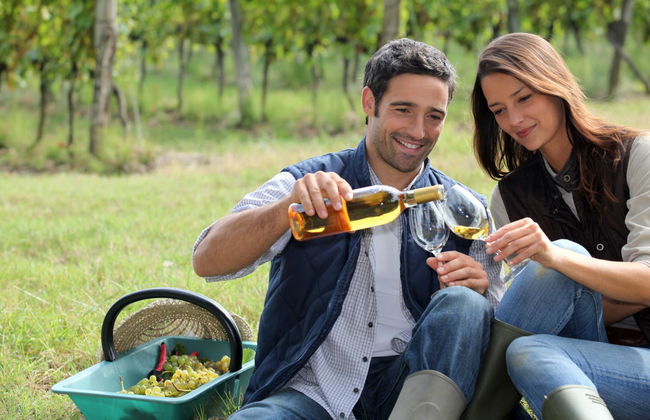 Tour en 4x4 por los viñedos del Penedés - Foto 3