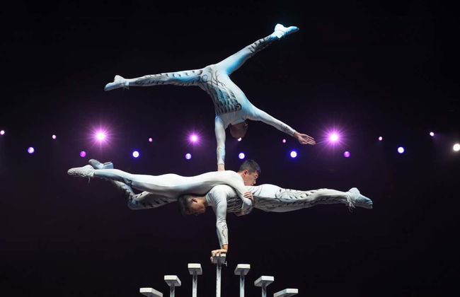 Espetáculo acrobático no Red Theatre - Foto 4