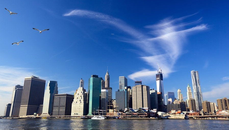 Crociera nel sud di Manhattan - Foto 1