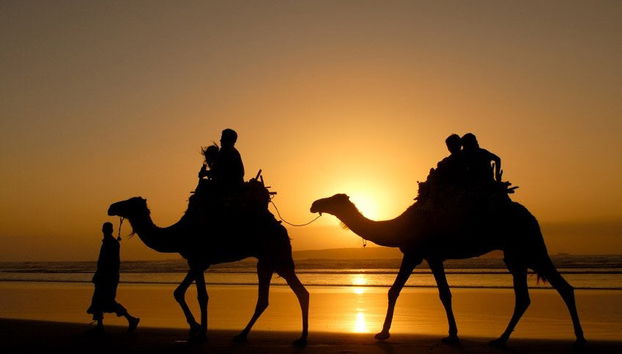 Excursión a Essaouira - Foto 3