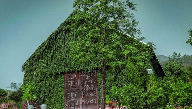 Excursão ao parque de Khao Yai - Foto 5