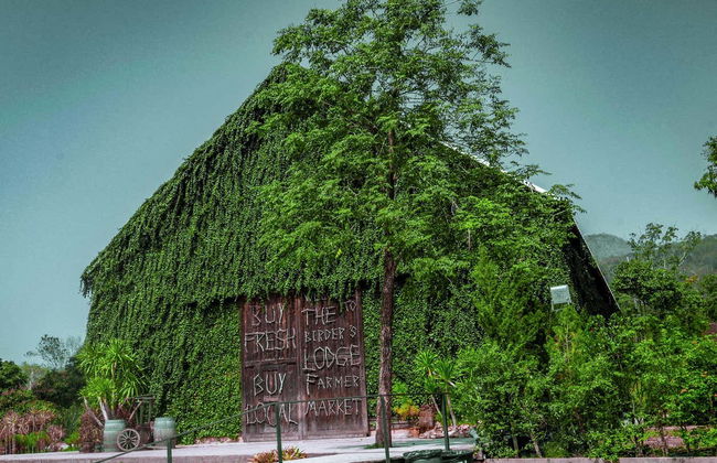 Excursion au parc de Khao Yai - Photo 5