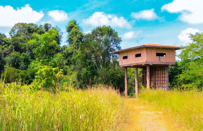 Khao Yai Tour - Photo 3