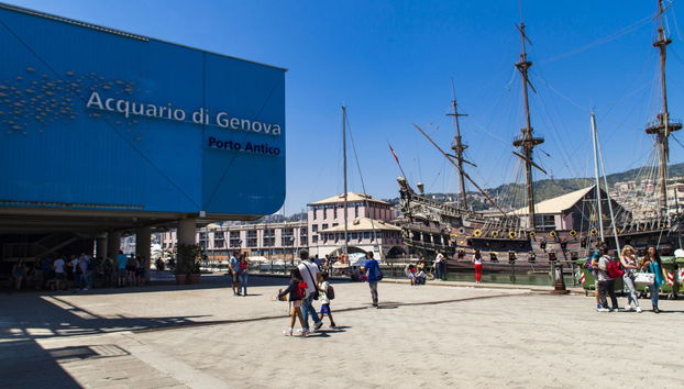 Entrada al Acuario de Génova + Paseo en barco con avistamiento de cetáceos - Foto 5