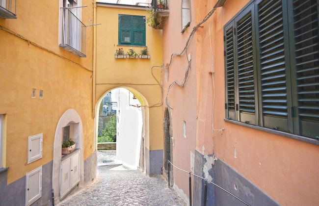 Excursion à Procida - Photo 7