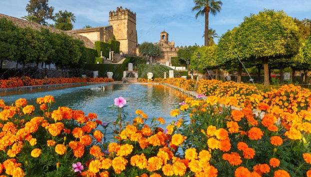 Visita guiada pela Mesquita e Alcácer - Foto 2