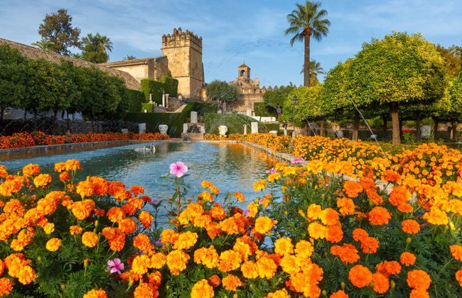 Visita guiada pela Mesquita e Alcácer - Foto 2