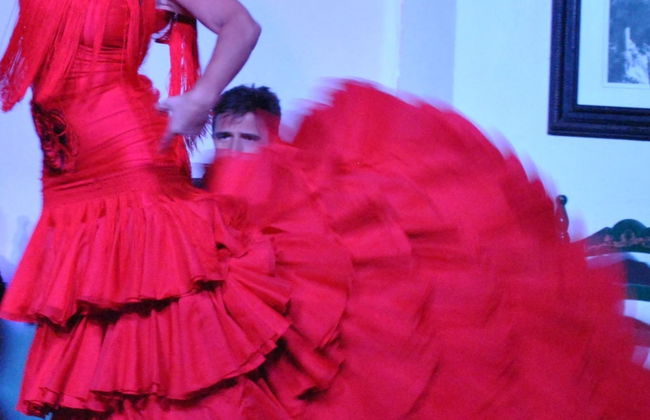Espectáculo flamenco en el tablao El Cardenal - Foto 3