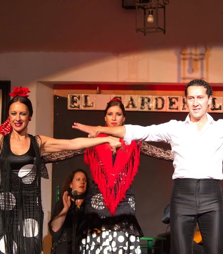 Foto de Espectáculo flamenco en el tablao El Cardenal