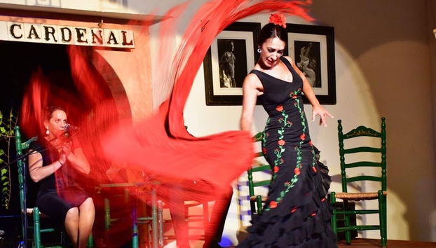 Spettacolo di flamenco al tablao El Cardenal - Foto 3