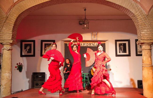Espetáculo flamenco no tablao El Cardenal - Foto 1
