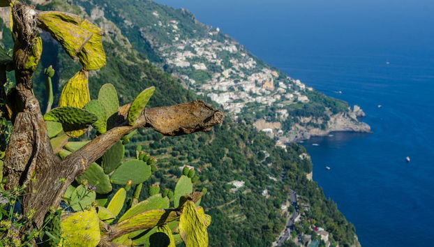 Trekking sul Sentiero degli Dei - Foto 5