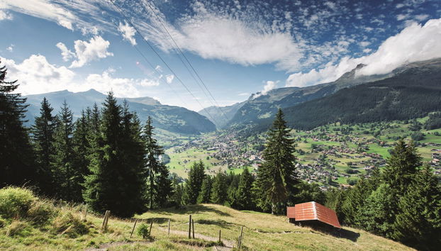 Grindelwald & First Mountain Day Trip - Foto 3