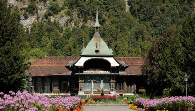 Grindelwald & Interlaken Day Trip from Lucerne - Foto 5