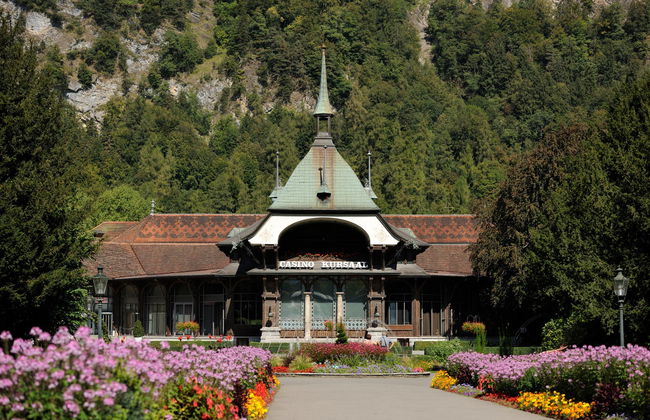 Grindelwald & Interlaken Day Trip from Lucerne - Foto 5