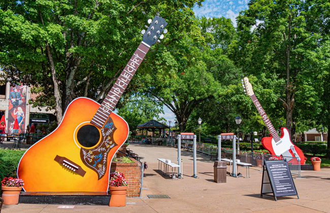 Tour panorámico por Nashville - Foto 4