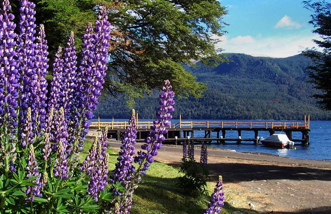 Escursione a Villa La Angostura e Villa Traful - Foto 1