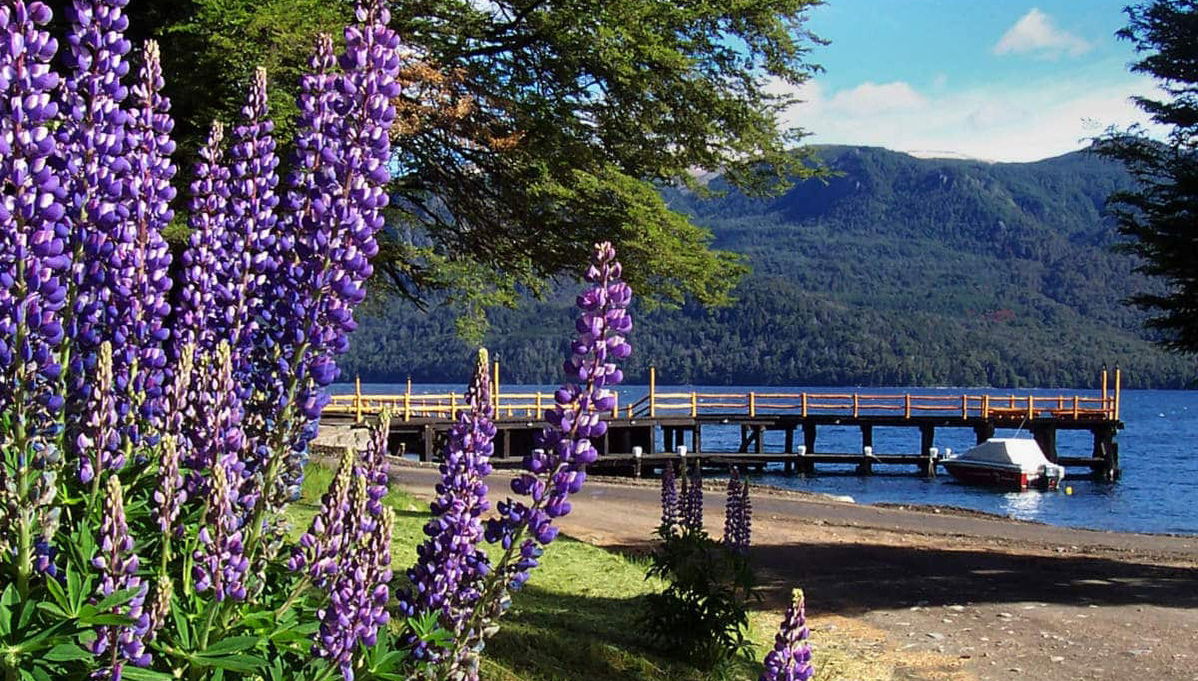 Excursión a Villa La Angostura y Villa Traful - Foto 1