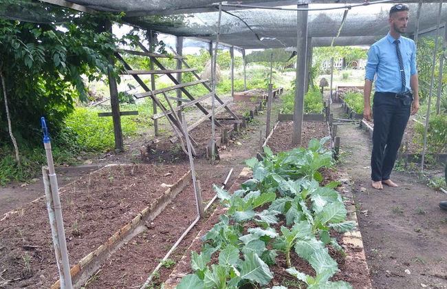 Tour pelas comunidades ribeirinhas do Tapajós - Foto 2