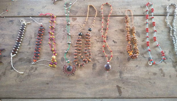 Tour pelas comunidades ribeirinhas do Tapajós - Foto 4