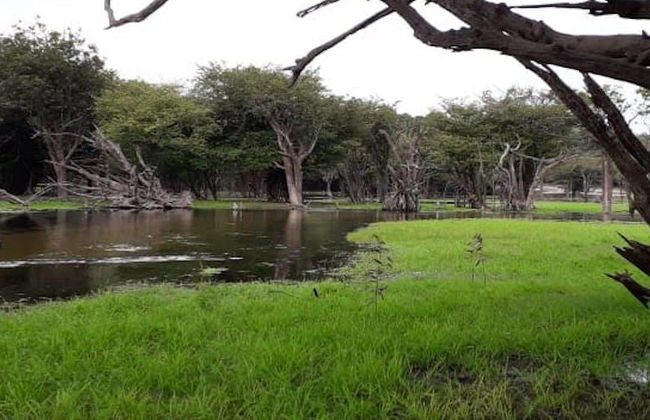 Tour pelas comunidades ribeirinhas do Tapajós - Foto 9