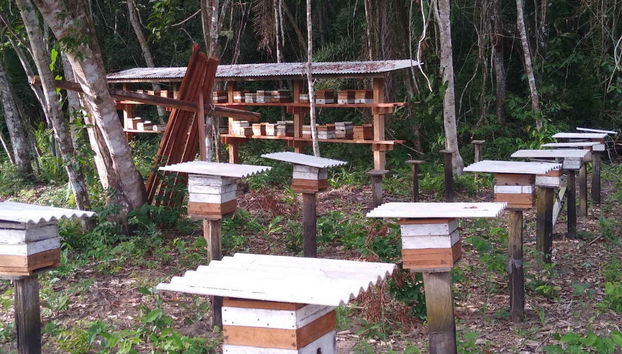 Tour pelas comunidades ribeirinhas do Tapajós - Foto 5