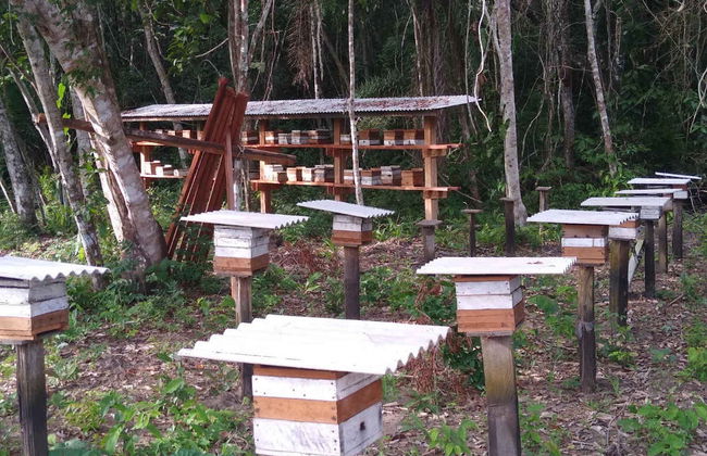 Tour pelas comunidades ribeirinhas do Tapajós - Foto 5