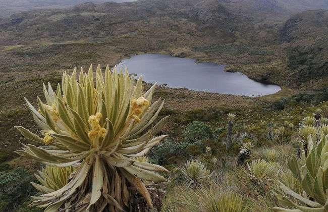 Ruta privada de trekking de 4 días por el Nevado del Tolima - Foto 5