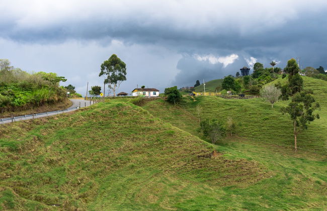 Tour do café de bicicleta - Foto 6