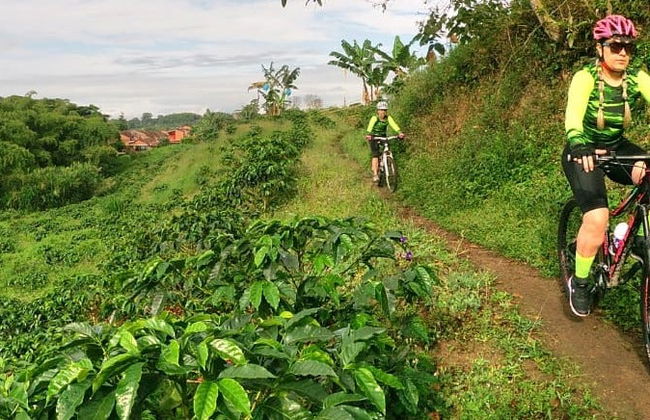 Tour do café de bicicleta - Foto 5