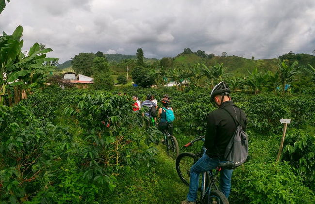 Tour en bicicleta por las montañas de Salento - Foto 4