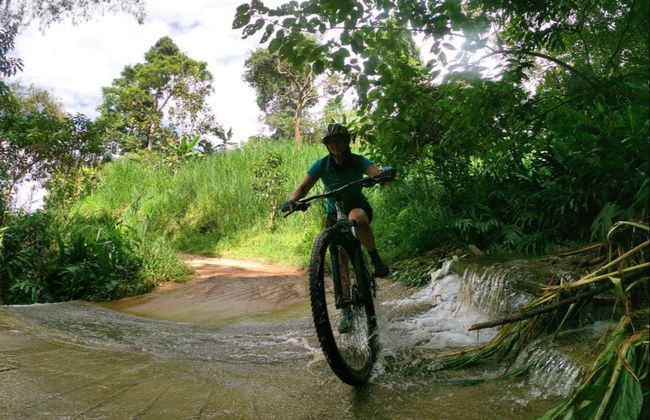 Tour do café de bicicleta - Foto 3