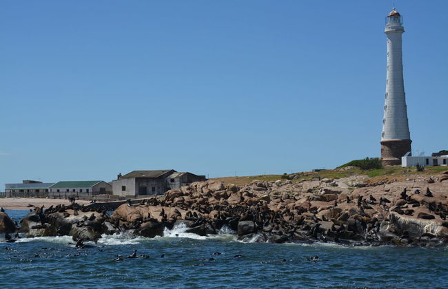 Excursión a Punta del Este - Foto 6