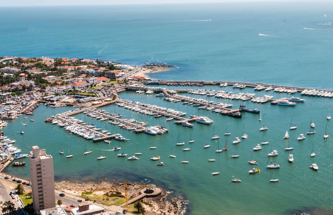 Excursión a Punta del Este - Foto 2